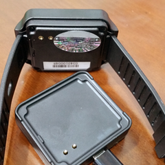Waterproof Watch Pager Deconstructed